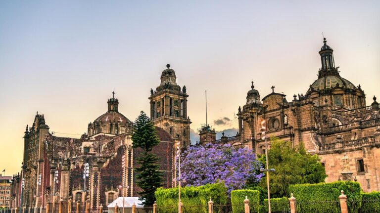 Metropolitan Cathedral of Mexico City at golden hour with jacaranda trees in bloom