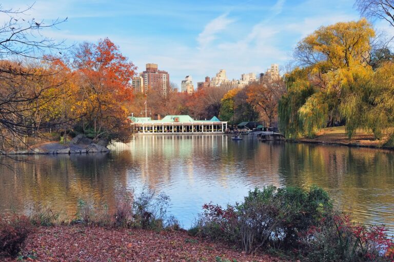 The lake in Central Park in autumn, with the Loeb Boathouse and Manhattan buildings behind the trees